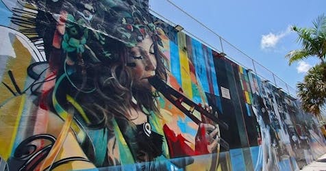 Visite à pied du meilleur de l’art de rue de Wynwood